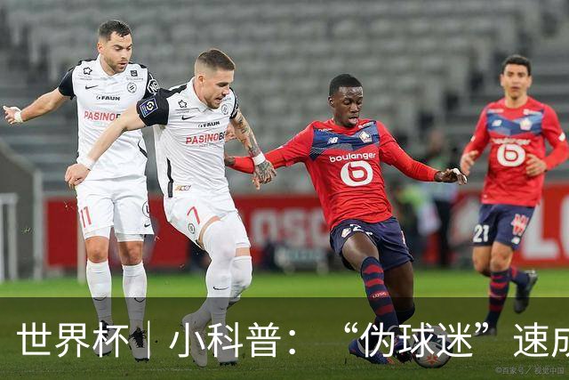 世界杯｜小科普：“伪球迷”速成手册